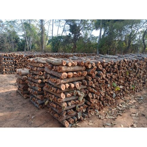 Wood