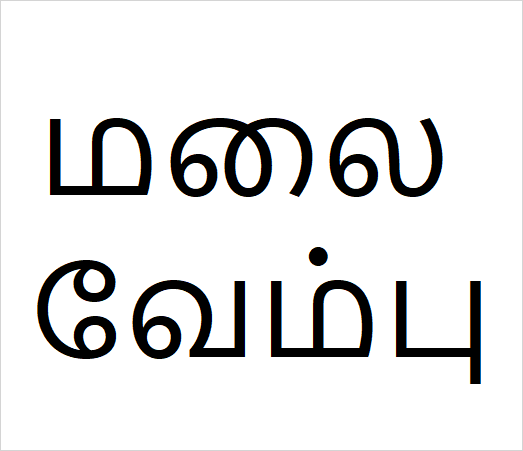 Malai vembu
