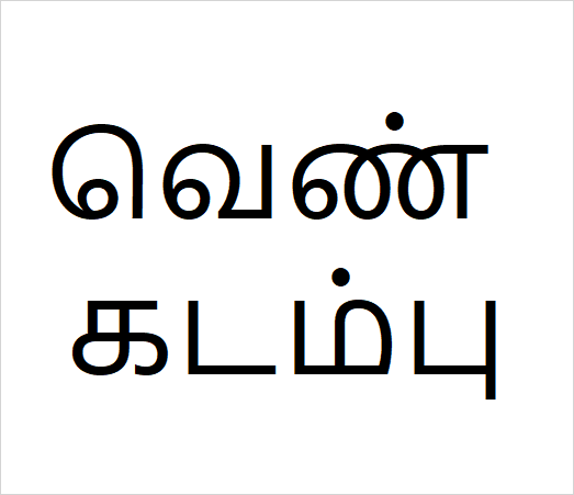 Ven kadambu