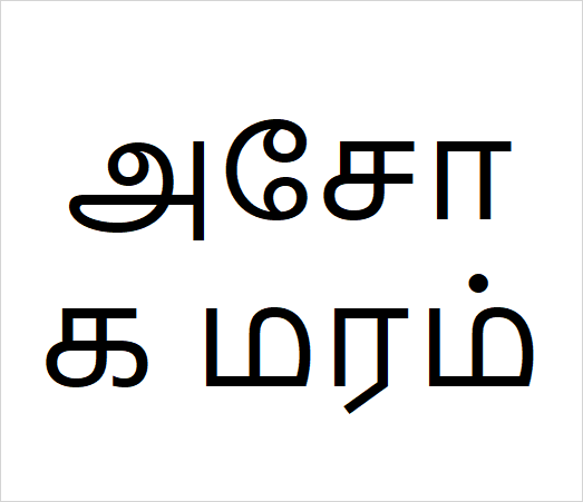 Asoka