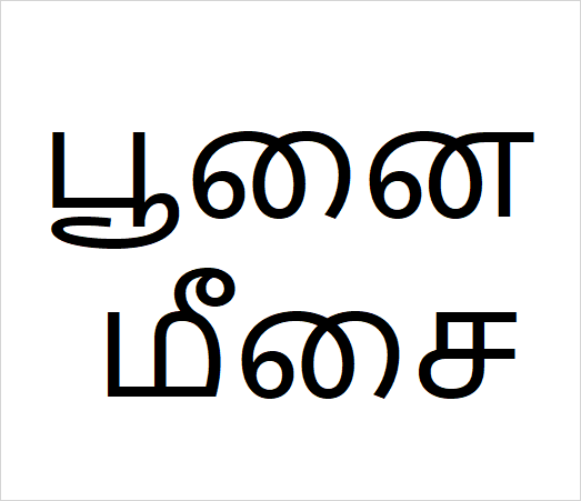 Poonai meesai