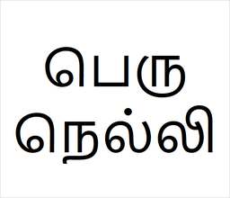 [பெருநெல்லி] Peru nelli