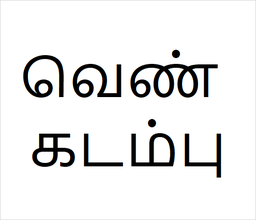 [வெண் கடம்பு] Ven kadambu
