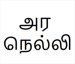 [அர நெல்லி] Aranelli