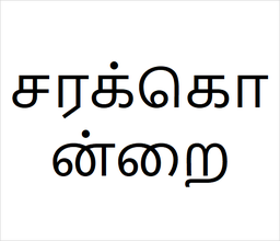 [சரக்கொன்றை] Golden shower