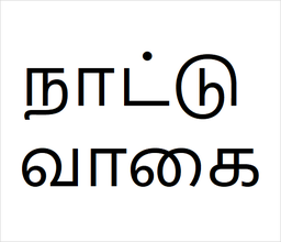 [நாட்டு வாகை] Nattu vagai