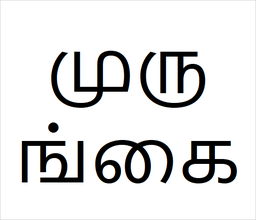 [முருங்கை] Murungai