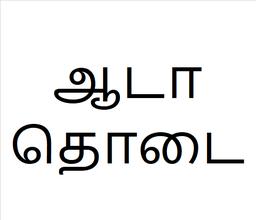 [ஆடாதொடை] Aada thoda