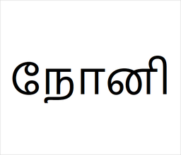 [நோனி] Noni 