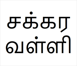 [சக்கரவள்ளி] Sakra valli