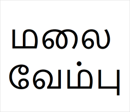 Malai vembu Bulk