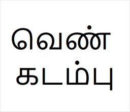 Ven kadambu Bulk