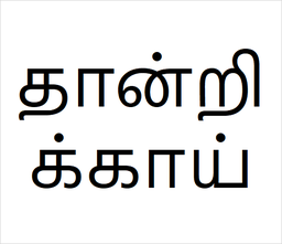 Thandrikai Bulk